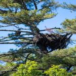 images/Events/2024-LakeCleanUp/FLG_LakeCleanUp2024-10_PhotoByBradleyBurnette.jpg