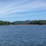 images/Events/2024-LakeCleanUp/FLG_LakeCleanUp2024-14_PhotoByBradleyBurnette.jpg